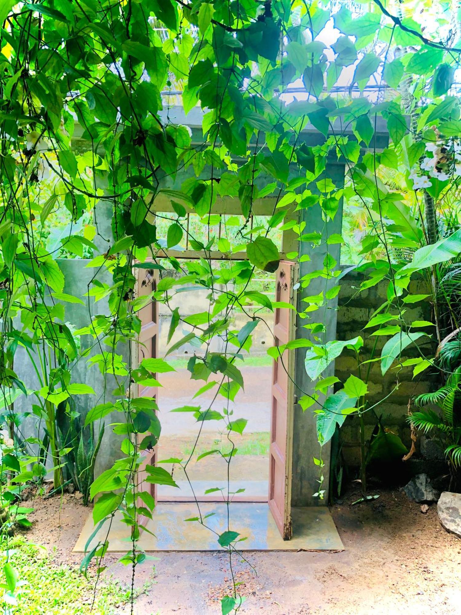 More Joy Matara Ngoại thất bức ảnh