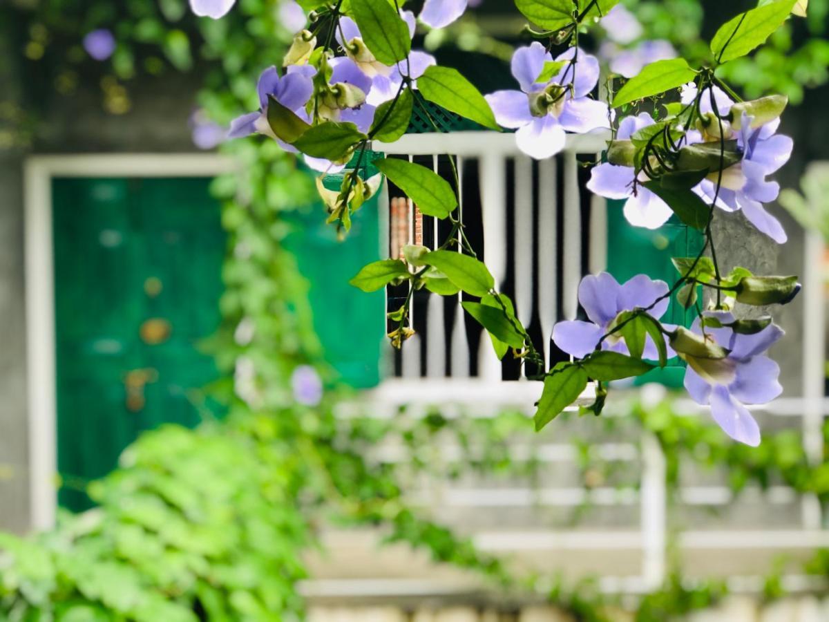 More Joy Matara Ngoại thất bức ảnh
